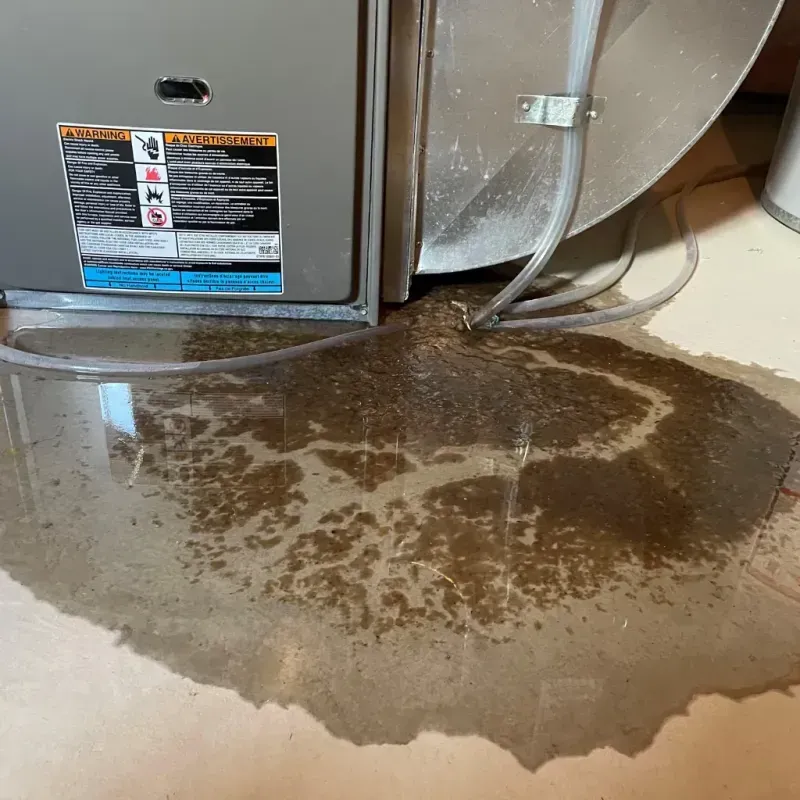 Appliance Leak Cleanup in Monee, IL